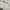 Liz Lisa Sundress White Eyelet Kawaii Japanese photo 6