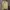 Cardigan Zara V-neck kuning pastel &stylish  photo 1