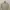 BOGNER Harrington Jacket photo 5