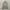 BOGNER Harrington Jacket photo 1