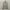 BOGNER Harrington Jacket