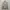 BOGNER Harrington Jacket