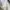 Reebok Sportswear Minimalist Bag Pria white cream photo 6