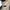 Reebok Sportswear Minimalist Bag Pria white cream photo 7