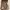 Rok Zara  photo 1