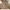 Burberry London Check Nova Print Logo Long Sleeve Shirt photo 1