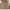 Burberry London Check Nova Print Logo Long Sleeve Shirt photo 2