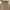 Burberry London Check Nova Print Logo Long Sleeve Shirt