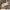 Burberry London Check Nova Print Logo Long Sleeve Shirt photo 6