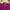 Cardigan Uniqlo Magenta