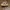 Clarks x Ronnie Fieg Lockhill Sand Combi photo 2