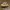Clarks X Ronnie Fieg Lockhill Sand Combi