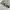 The North Face Relaxed Outdoor Long Pants Side Pocket photo 10
