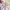 top anime dokidoki precure original babypink fullprint photo 5