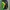 Sportswear Casual Track Jacket Pria Green Black