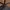 Trucker Hat Carhartt photo 4