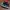 Air Jordan 1 High Tokyo Bio Hack photo 2