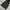 AlbaroTarfe vest hoodie catton 2000an photo 6