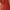Dress merah se lutut retro style photo 6