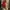 Dress merah se lutut retro style photo 1