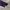 Le Coq Sportif Polo Long Sleeve photo 6