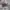 Nike Air Max 97 G NRG photo 1