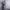 ZALORA Festive Dress Size: S Bust photo 4