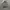 ZARA TEXTURED BOMBER JACKET photo 1