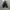 ZARA TEXTURED BOMBER JACKET photo 5