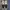 VANS VAULT OG B&W SUMMER SPRING 2020 photo 6