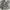 LafugeStore Our Man Puffer Padding photo 9