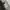 LafugeStore Our Man Puffer Padding photo 10