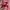 Adidas outdors anti air daun talas not nike acg adidas fila  photo 5