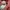 Adidas outdors anti air daun talas not nike acg adidas fila  photo 6