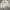 DISTRESSED WHITE LONGSLEEVE GRUNGE photo 3