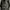 Vest 3d CP “for you pinterest vest” photo 4