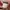 Jeep Vintage Sportswear Hat Wanita pink khaki photo 6
