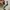 New balance 1906d mulus nominus photo 5