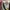 New balance 1906d mulus nominus photo 3