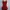 LOVE BONITO Red Ribbon Top Size: photo 1