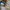 iPad mini 5 - 64 GB, Space Gray (pemakaian pribadi) photo 8