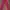 CELANA JEANS FUCHSIA SLIMFIT photo 4