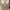Vintage Victorian Texture Sheer Top photo 2