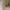 Vintage Victorian Texture Sheer Top photo 3