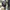 M65 fashion military army jacket by Ikka photo 2