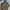 Tnf recco cryptic photo 5
