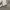 NEW BALANCE MISTY GREY photo 3