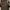 Luxury Culotte Wanita brown photo 3