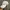 Oakley Vintage Y2K Hat Pria white photo 2
