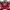 Vintage Reebok Red Wings Windbreaker Jacket photo 2
